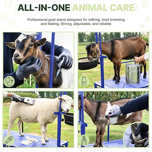 Goat Stand with Adjustable Headpiece & Legs, Goat Milking Stand with Feeder, Rails & Wheels, Stanchion for Grooming & Hoof Trimming, Sheep Stand for Shearing Heavy-Duty Steel Platform, Blue