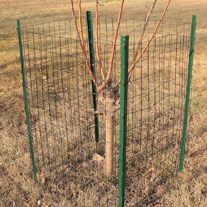 Black PVC Coated Welded Wire Fence 24 Inch x 25 Foot, 2 Inch x 3 Inch 16GA, Garden Border Fencing Roll Vinyl Coating Metal Wire Mesh for Yard Vegetable Plant Protection Poultry Netting