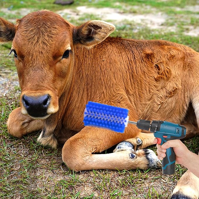 EBaokuup Livestock Mini Roto Drill Brush Attachment-0.2 Inch Drill Shank Cattle Fur Brush-Cattle Scratcher Roto Brush for Goat Sheep Cattle Horse Pig Grooming