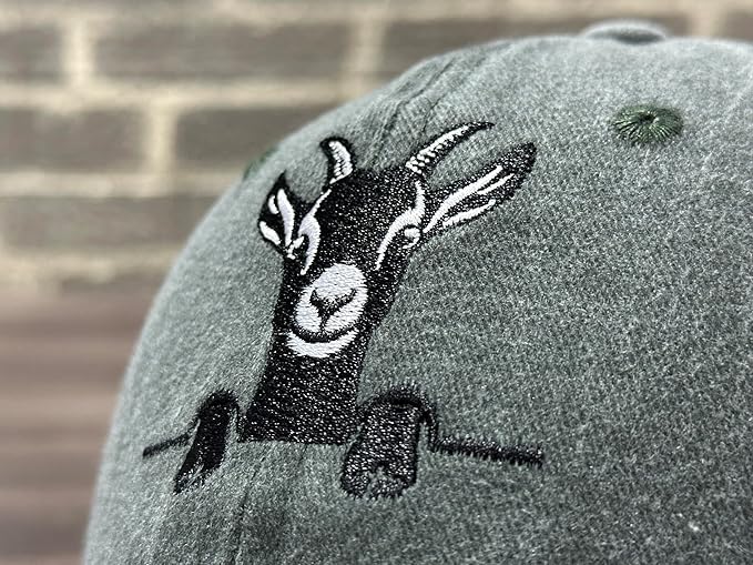 Embroidered Baseball Hats for Men and Women