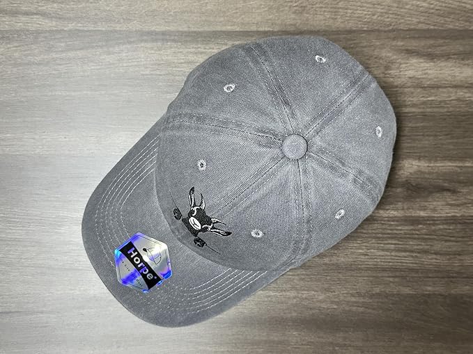 Embroidered Baseball Hats for Men and Women