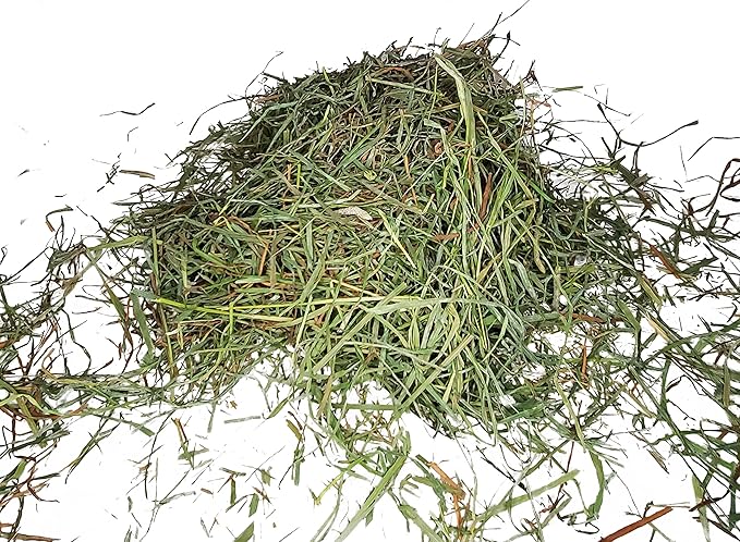 High Desert 2nd Cutting Timothy Grass Hay for Rabbits, Guinea Pigs, Chinchillas & Small Pets – Premium Hand-Packed Natural Hay, High-Fiber, Additive-Free, Grown in USA – 16 lb Box