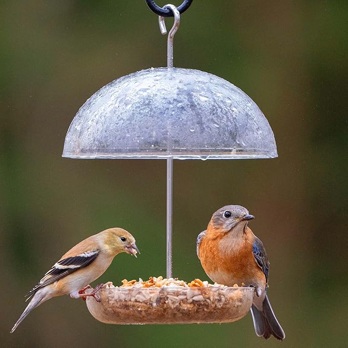Bluebird Mealworm Feeder - Jacobi Jayne® Pearl Feeder Mini™ - Domed Small Bluebird Feeder - Live Mealworm Feeder Hanging for Outdoors and Backyards