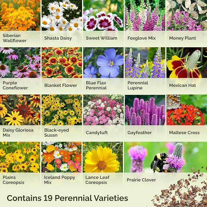 Eden Brothers All Perennial Wildflower Mixed Seeds for Planting, 25 lb, 12,000,000+ Seeds with Lupine, Shasta Daisy | Attracts Pollinators, Plant in Spring or Fall, Zones 3, 4, 5, 6, 7, 8, 9, 10
