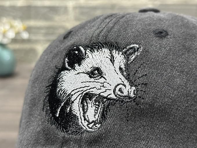 Embroidered Baseball Hats for Men and Women
