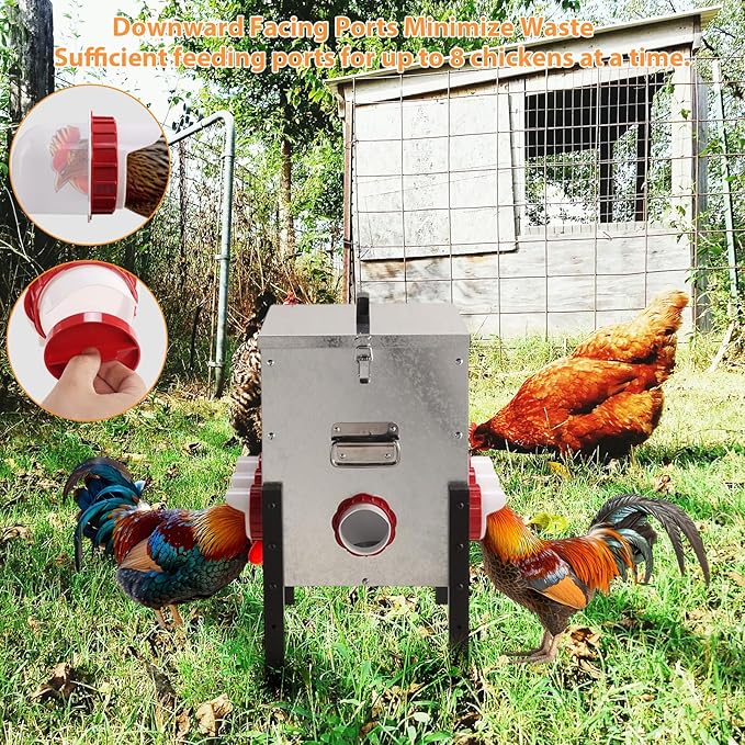50LB Automatic Chicken Feeder with Cover – Large Capacity Metal Chicken Coop Feeder with 8 Feed Ports, Adjustable Legs Rainproof No Waste Outdoor Poultry Feeder for Hens & Free Range Flocks
