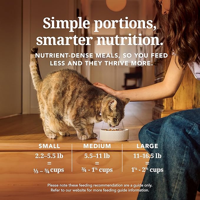 Feline Natural High Protein Dry Cat Food, Freeze-Dried Diet with 98% Meat, Organs & Seafood, No Peas, Grains, or Artificial Additives, Made in New Zealand, Chicken & Lamb, 3.5oz