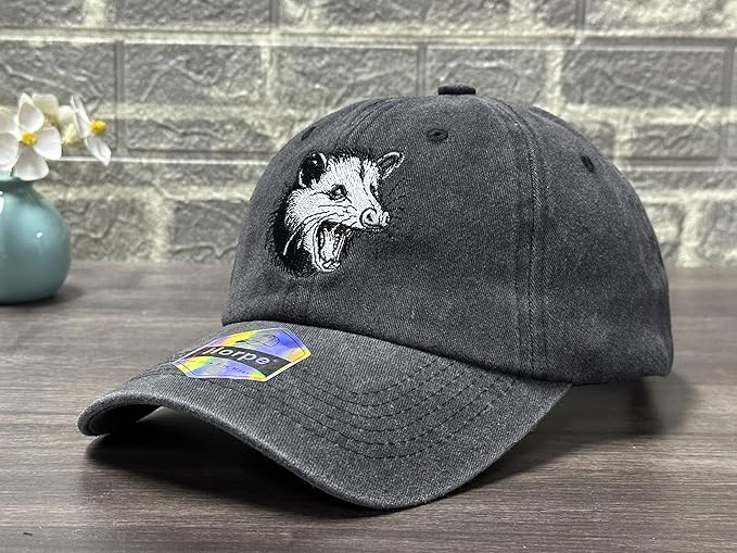 Embroidered Baseball Hats for Men and Women