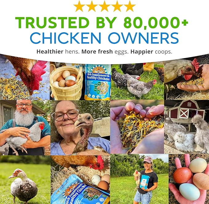 Herb Supplement for Backyard Chickens - Natural Chicken Treats, Poultry Feed Botanical Mix, Plant-Based Coop Snacks for Daily Wellness, Feather Quality, Egg Production, USA (12 oz)