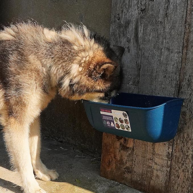 Goovilla Large Feed Trough, Hanging or Screw-in Fence Feeder with Clips, 2 Pack 9 Quart Goat Feeding Supplies, Dog Horse Hog Pig Livestock Poultry Plastic Feeder Trough Bucket for Large Animal, Blue