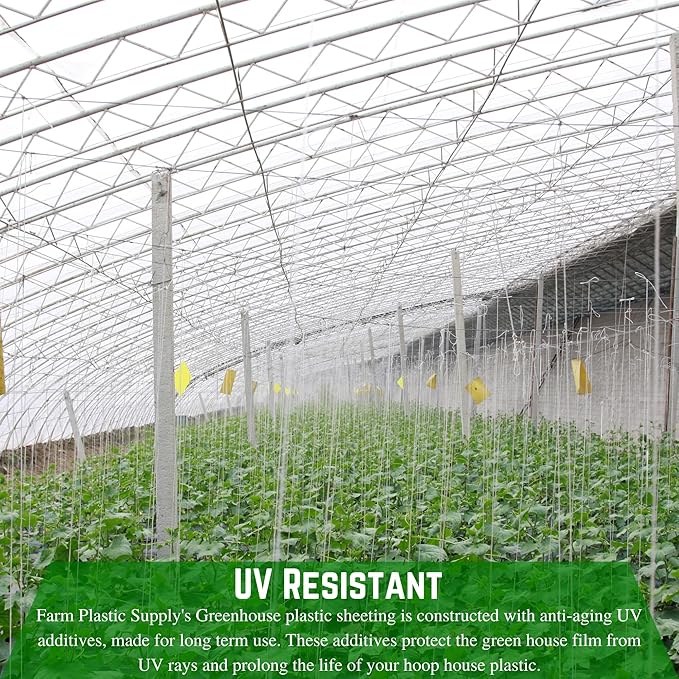 Farm Plastic Supply - String Reinforced 4 Year UV Resistant 10 mil Clear Greenhouse Plastic Sheeting - 4 Year UV Resistant Polyethylene Greenhouse Film, Hoop House Green House Cover (42' x 75')
