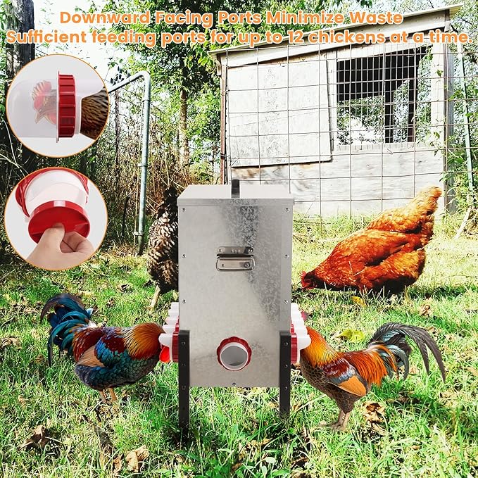 100LB Automatic Chicken Feeder with Cover – Large Capacity Metal Chicken Coop Feeder with 12 Feed Ports, Adjustable Legs Rainproof No Waste Outdoor Poultry Feeder for Hens & Free Range Flocks