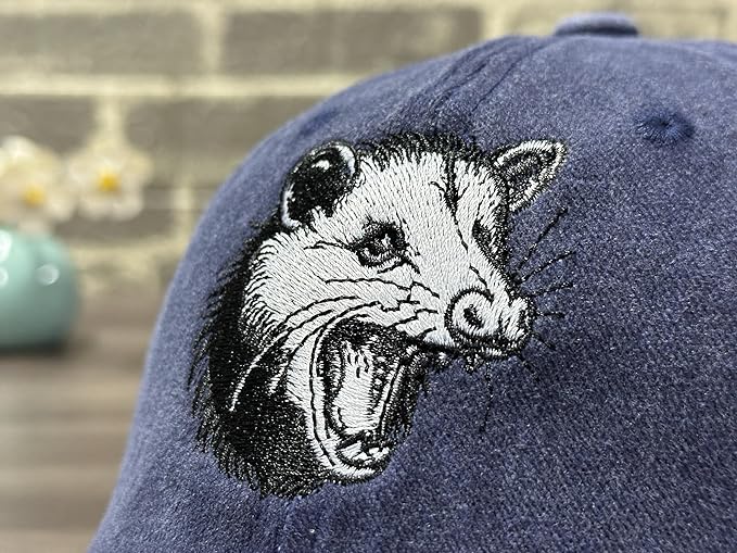 Embroidered Baseball Hats for Men and Women