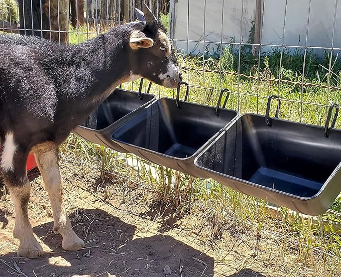 Hanging Chicken Feeder Trough for Goat Sheep Deer Poultry Duck Chicken Fence Feeder Livestock Feeding Container Goats Supplies Feeders Waterer Bucket (Black and White)