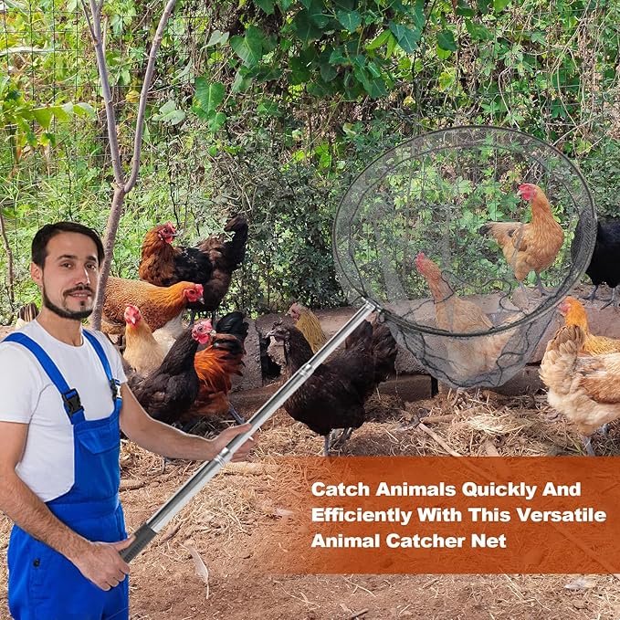 Animal Catcher Net, Chicken Catching Net for Poultry Supplies, Extendable 72" Made of Stainless Steel Fishing net Catcher for Catching Small Duck, Geese, Bird, Bat, Chickens, cat, Poultry