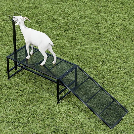 Metal Trimming Stand for Sheep Goat Milking Stand with a Ramp Livestock Stand with Adjustable Headpiece Goat Milking Stand for Clipping Hooves Black