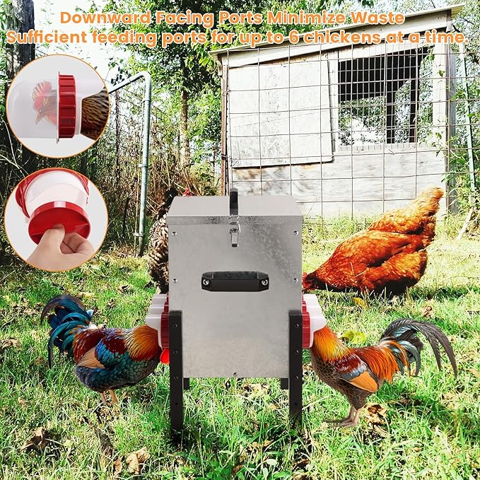 30LB Automatic Chicken Feeder with Cover – Large Capacity Metal Chicken Coop Feeder with 6 Feed Ports, Adjustable Legs Rainproof No Waste Outdoor Poultry Feeder for Hens & Free Range Flocks