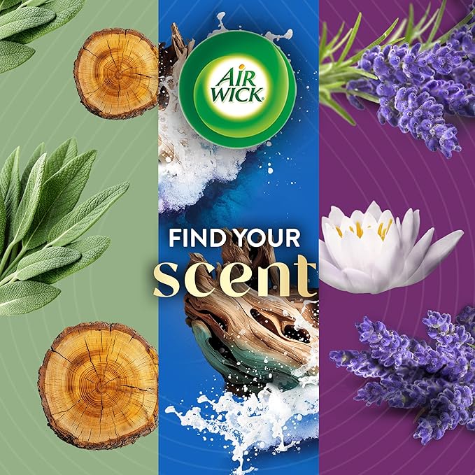 Air Wick Scented Oils 0+5 Warm Apple & Cinnamon
