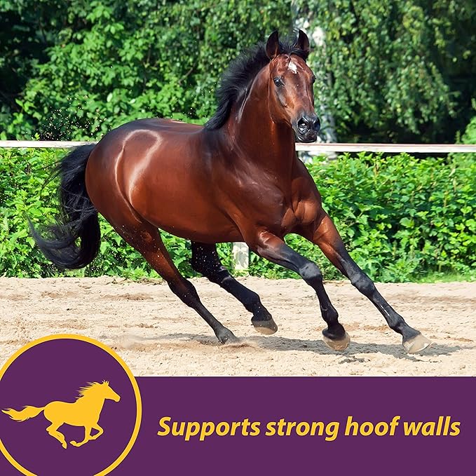 Farnam Horse Health Vita Biotin Crumbles horse hoof Supplement, Helps maintain healthy, sound hooves and strong hoof walls, 20 lbs., 320 day supply