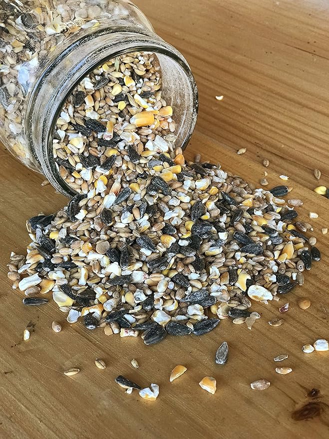 Ernst Grain & Livestock Bird and Wildlife Feed – Perfect for Birds, Ducks, Squirrels, Turkeys, Rabbits, Geese, and Deer – Non-GMO Wild Animal & Bird Feed for Outside Feeders (25lb Bag)