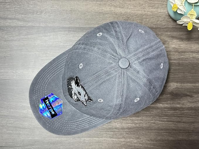 Embroidered Baseball Hats for Men and Women