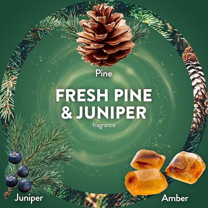Air Wick Plug In Scented Oil Refill,Fall Scent, Fall Décor, Fresh Pine & Juniper, 5 ct