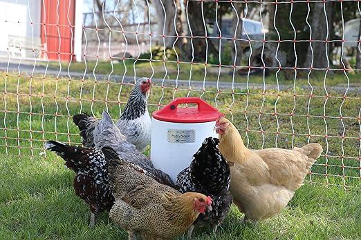 Gallagher S20 Solar Fence Charger + 48in x 82ft Poultry Netting Bundle | Portable Electric Fence System for Chickens, Garden Protection & Predator Exclusion | Solar Energizer with Rechargeable Battery