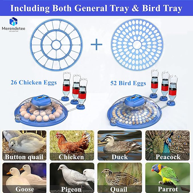 26-52 Eggs Automatic Incubator | Upgrade Automatic Water Adding |360 Degree View | incubators for Hatching Eggs |Without Installation Use (8-BLUE1)