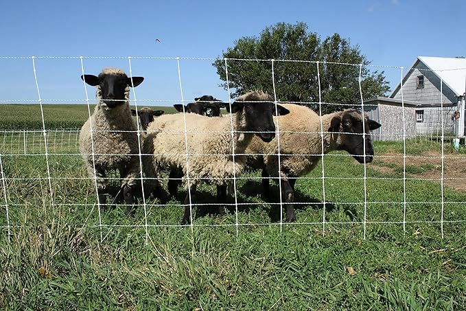 Starkline 48" x 164' Positive/Negative Sheep and Goat Electric Netting for Dry Soil Conditions