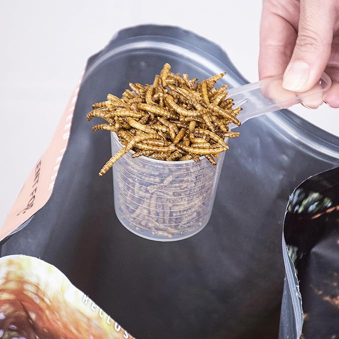 Dusico® Dried Mealworms 5LB Bag of Premium High Protein Non-GMO Chicken Treat & Wild Bird Food - Mealy Worms Additive for Bluebirds Feeder, Poultry, Ducks, Quail, Reptiles & Fish