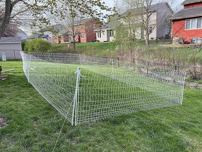 Starkline Electric Poultry Netting 48" x 82' Electric Poultry Netting w/Double Spiked Fiberglass Posts (12/48/3) Electric Fence for Chickens in Backyards, on Homesteads, Farms and Ranches