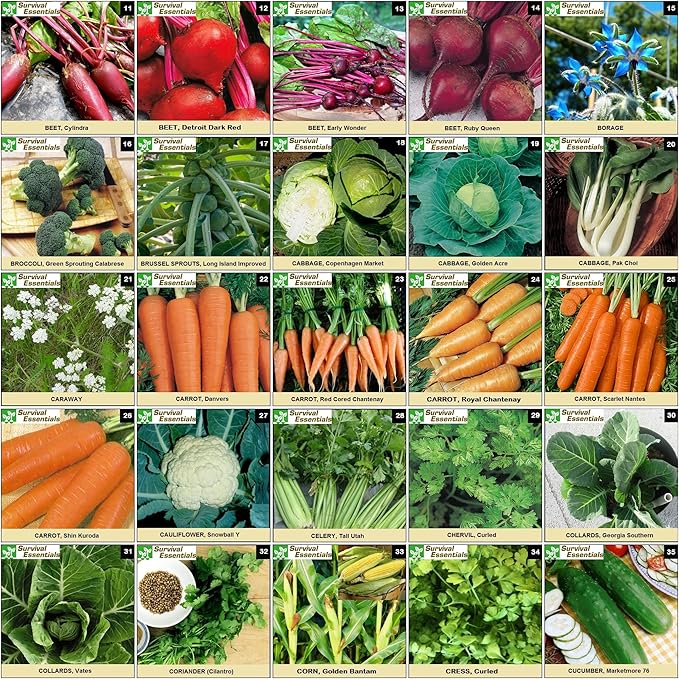 Heirloom Seeds for Planting Vegetables and Fruits - Survival Essentials 135 Variety Seed Vault - Medicinal Herb Seeds - Grow Healthy Non-GMO Food