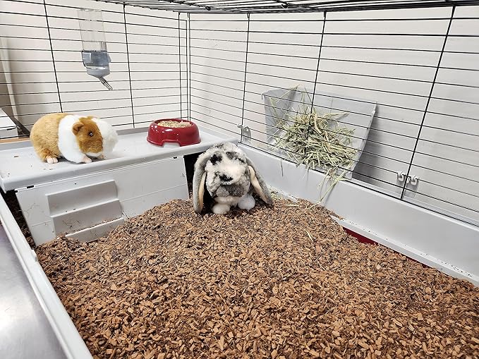 Small Animal Bedding – 20 L –– Coco Chip Fiber Bedding Substrate for Guinea Pig, Hamster, Rabbit, Bunny Litter, Tortoise, Turtle, Reptile, Snake Habitat - Activated Charcoal Odor Control