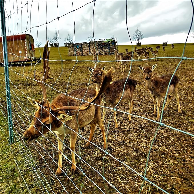 Farm Fence 4ft x100ft, 13GA Thickened Heavy Zinc Coating Cattle Fence, Galvanized Field Wire Fencing, for Garden, Goat, Hog, Yard Livestock, Farm, Animals and Field Protection Use