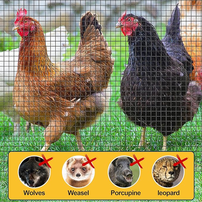 Sunnyglade Hardware Cloth, 1/2 Inch 48" x 100 ft Black Vinyl Metal Mesh Roll, 19 Gauges Chicken Wire Fence Roll, Welded Wire Fencing PVC Coated Wire Fence Rolls for Chicken Coop, Poultry (Black)